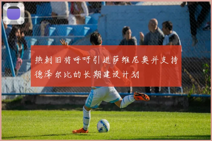 热刺旧将呼吁引进萨维尼奥并支持德泽尔比的长期建设计划
